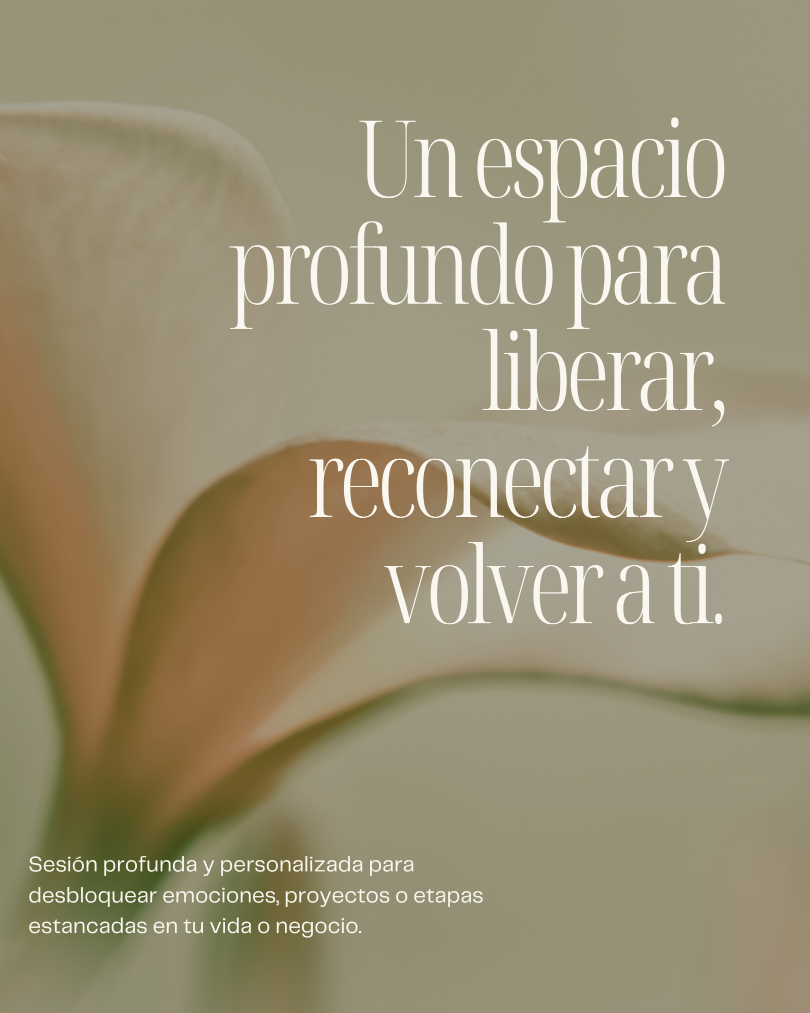 Sanar Para Crear